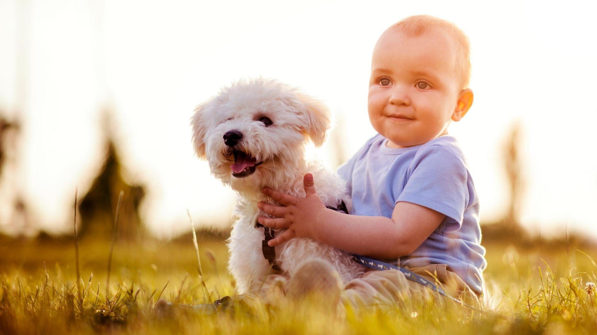dogs and babies - cover image