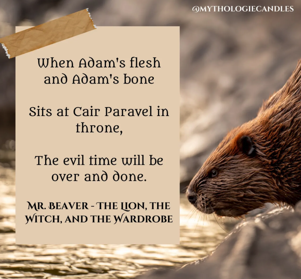 Aslan's Will