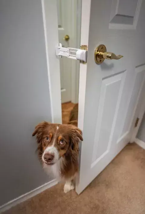 door buddy prop=gift ideas