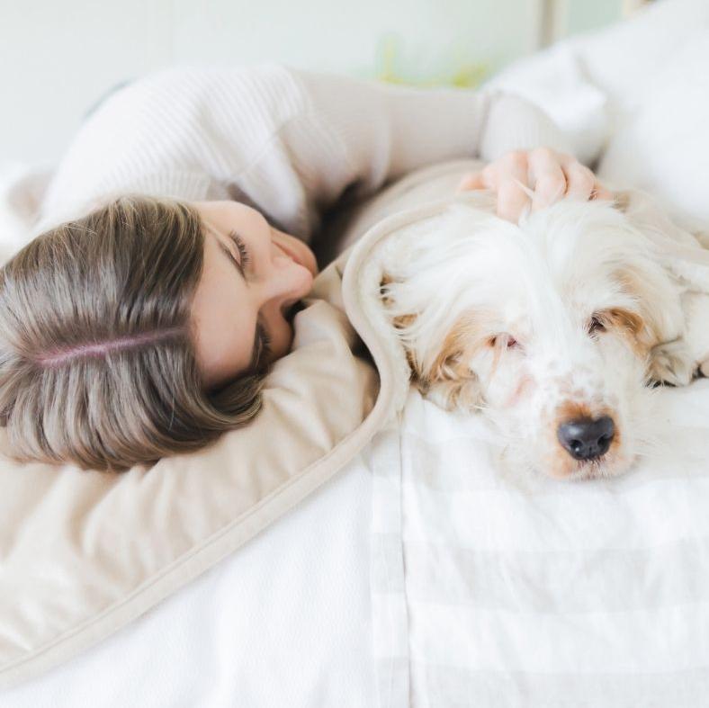 Young woman training puppy