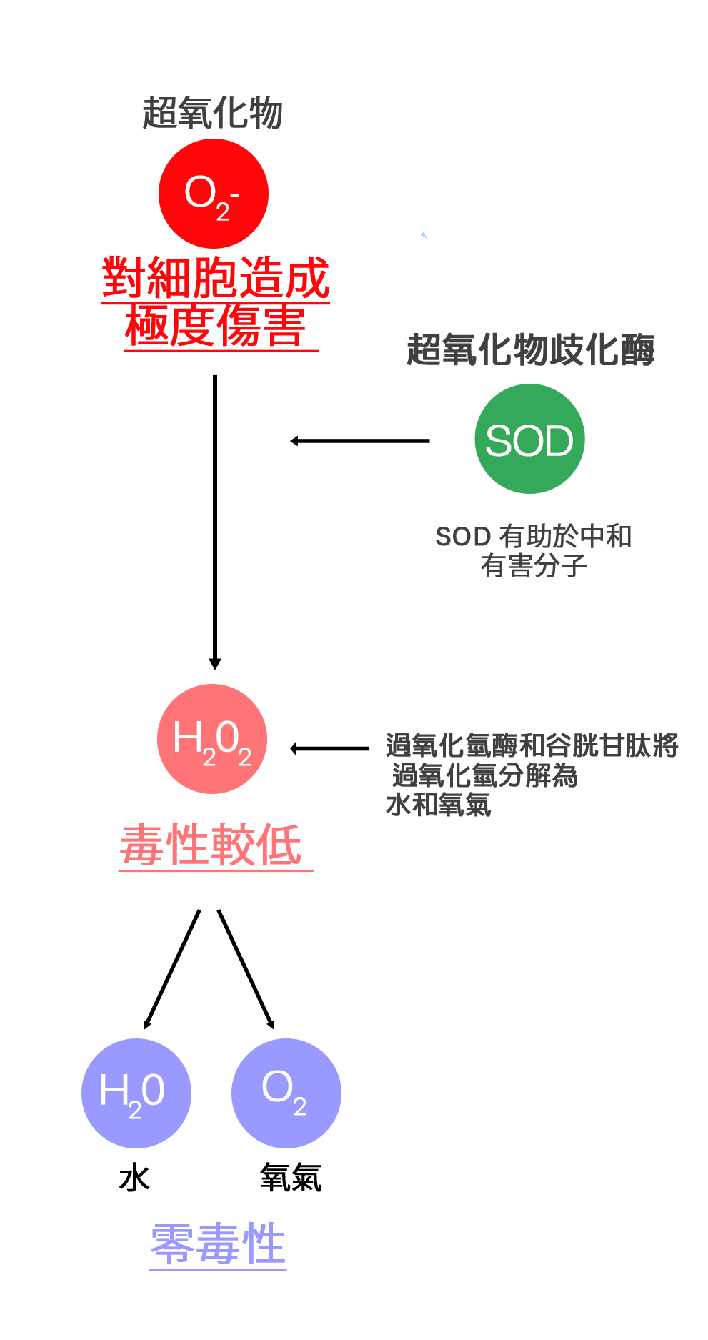 SOD Diagram depicting functioning of the SOD mechanism.