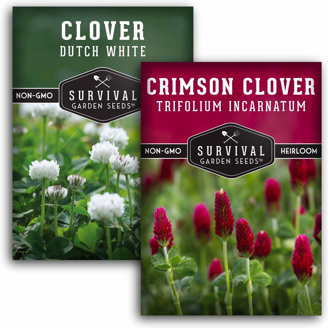 Growing Lucky Clover in your Garden, Plant History
