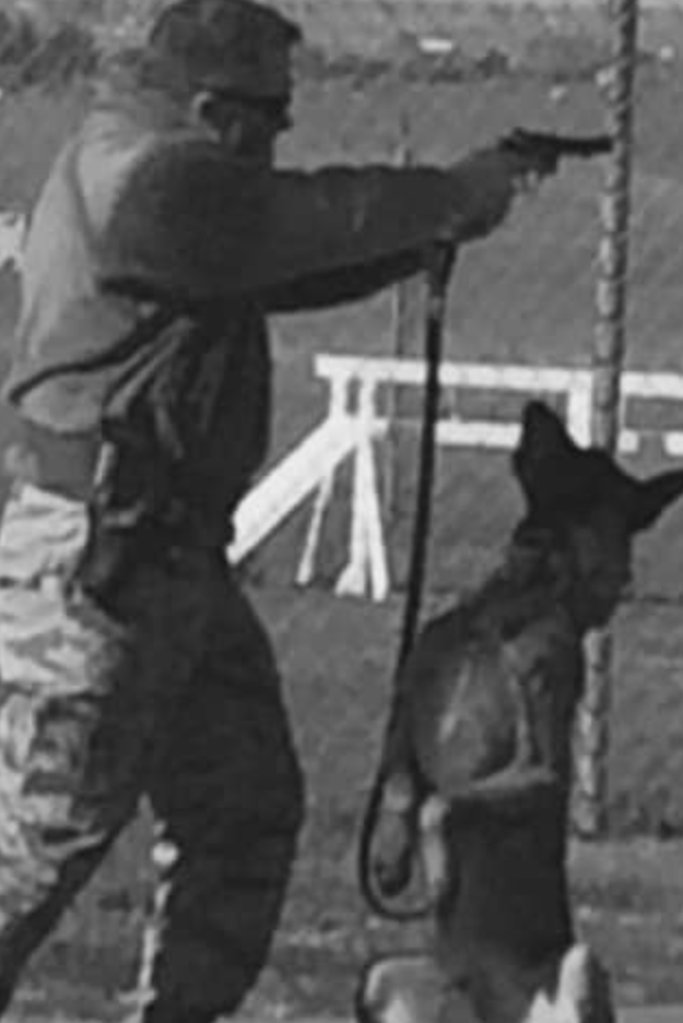 MWD vvladimir