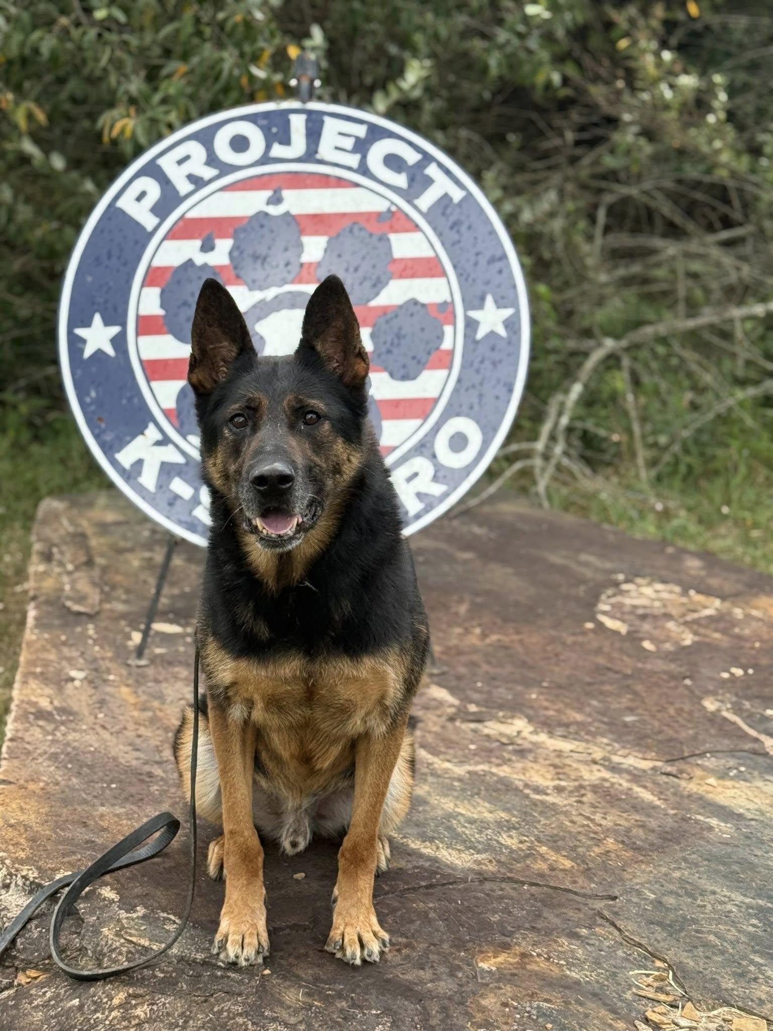 k9 digo at PK9H