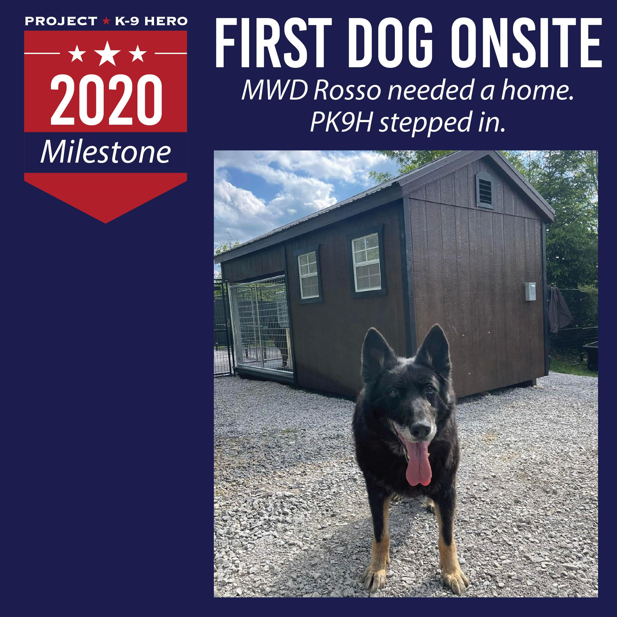 rosso poses with his new kennel.