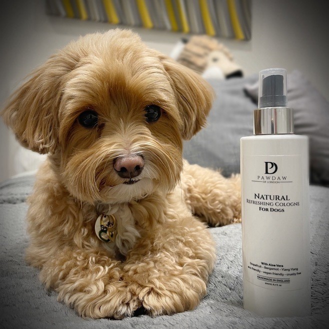 Natural Refreshing Cologne for Dogs