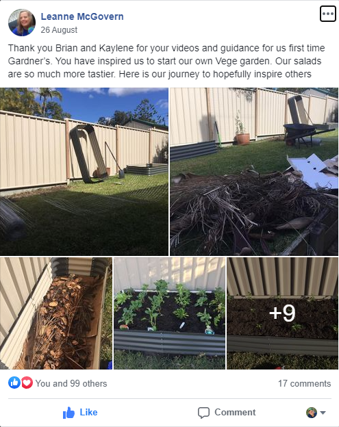 Screenshot of a Facebook post showing before-and-after photos of a backyard veggie garden being built and planted.