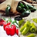 Sweet and hot peppers