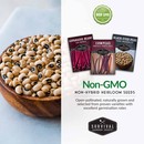Non-GMO non-hybrid heirloom beans