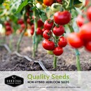 quality non-hybrid heirloom seeds for your vegetable garden