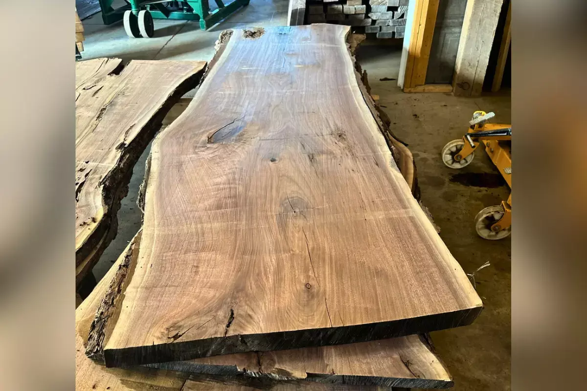 Raw Walnut Slab