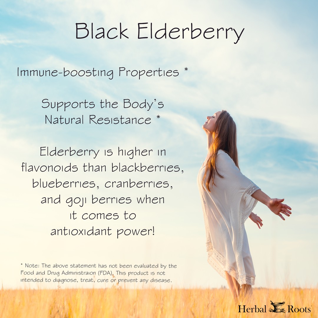 Side profile of a woman standing in a field with arms thrown back behind her and face up to the sky. the text on the image says Black elderberry. Immune-boosting properties, supports the body's natural resistance, elderberry is higher in flavonoids than blackberries, blueberries, cranberries, and goji berries when it comes to antioxidant power!