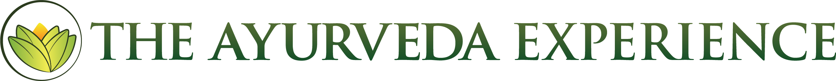 Logo The Ayurveda Experience