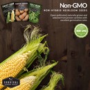 Non-GMO, non-hybrid heirloom vegetable seeds for your survival garden