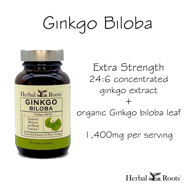 Bottle of Herbal Roots Ginkgo Biloba with text that says Extra Strength 24:6 concentrated ginkgo extract + organic ginkgo biloba leaf. 1,400mg per serving