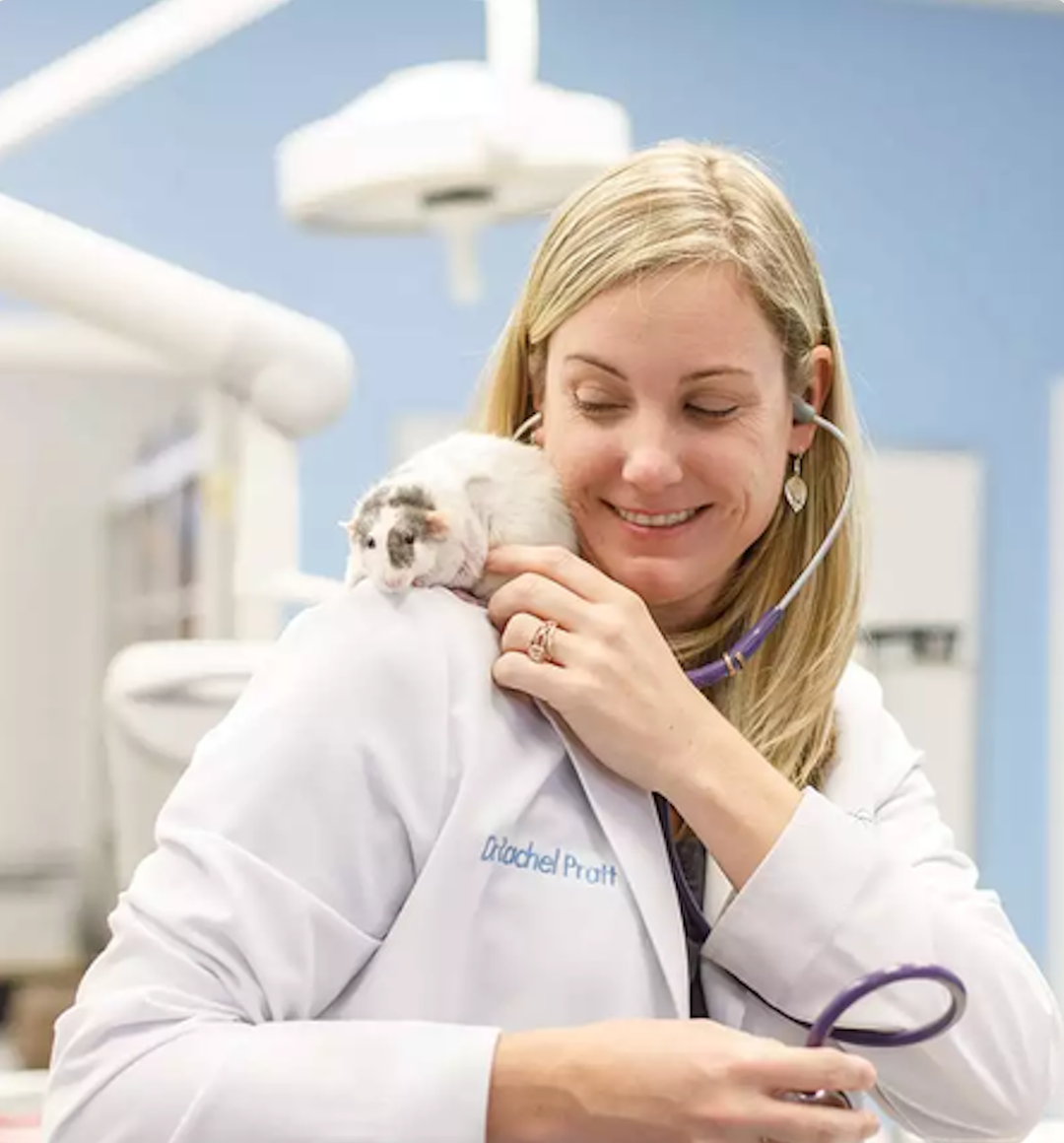 Dr. Pratt On Pet Allergies FurryFreshness Premium Stain and Smell Remover