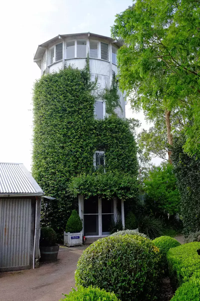 Classic stone birdbath fountain set in a formal garden pond, surrounded by lush green waterlily leaves and neatly clipped box hedging.