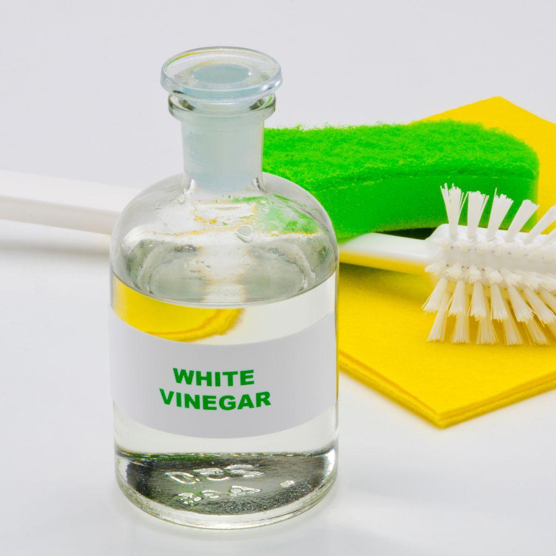 White Vinegar