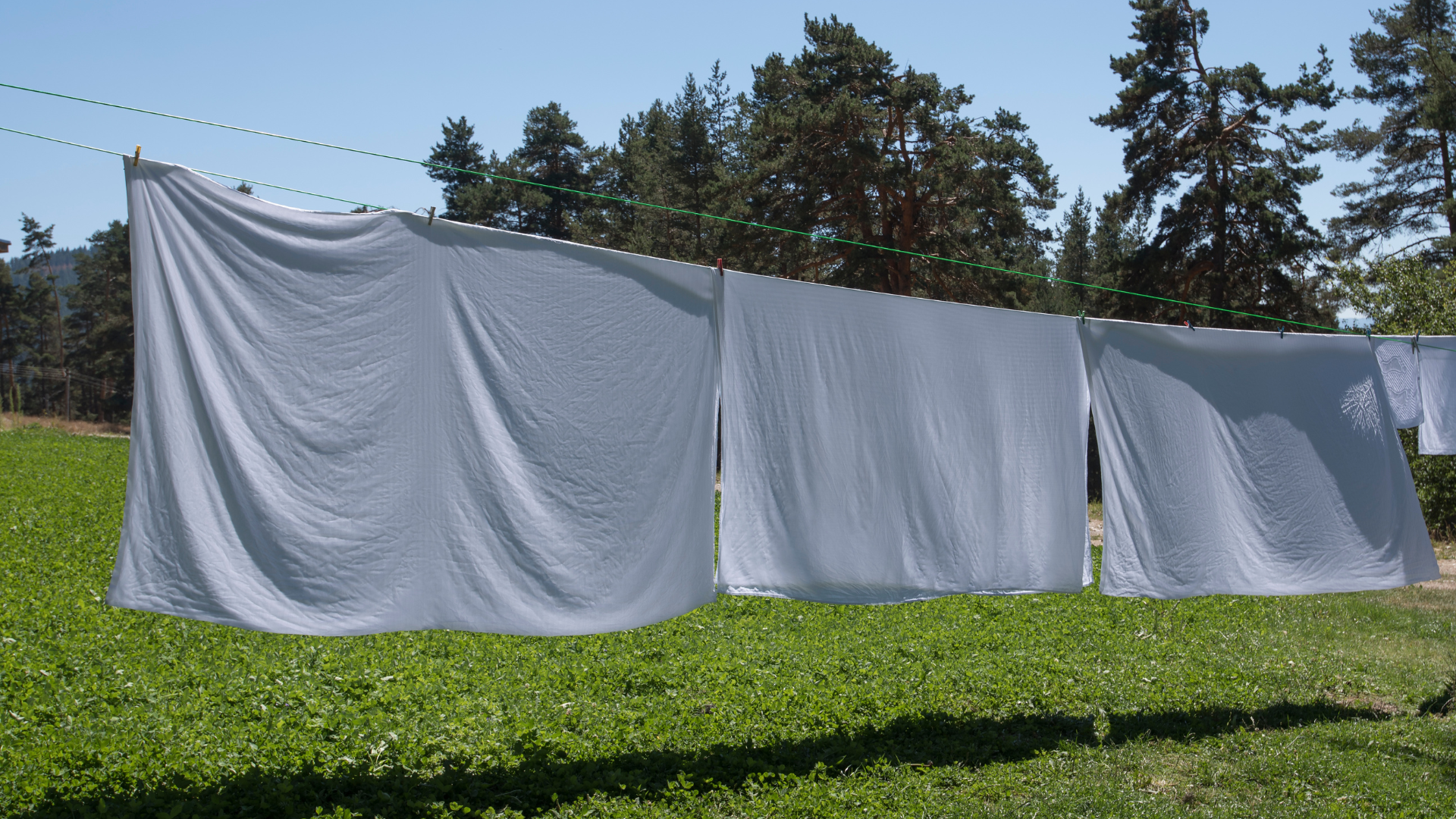 How to Wash Bed Sheets Drying Cotton Sheets