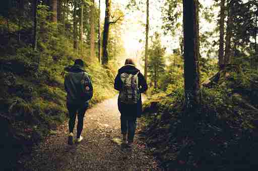 hiking buddies walking through a nature trail 