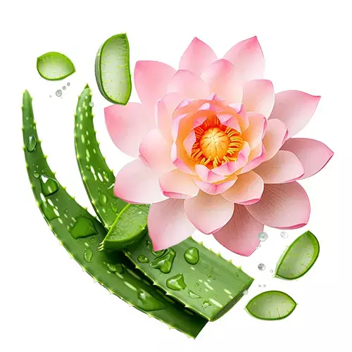 sacred lotus and aloe vera