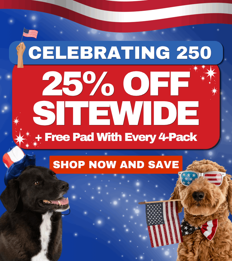Two dogs using Potty Buddy reusable pee pads in a living room