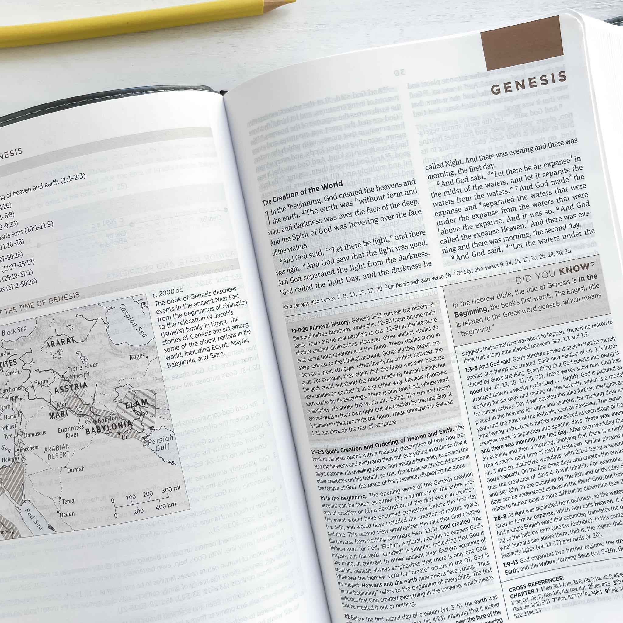 Inside Study Bible