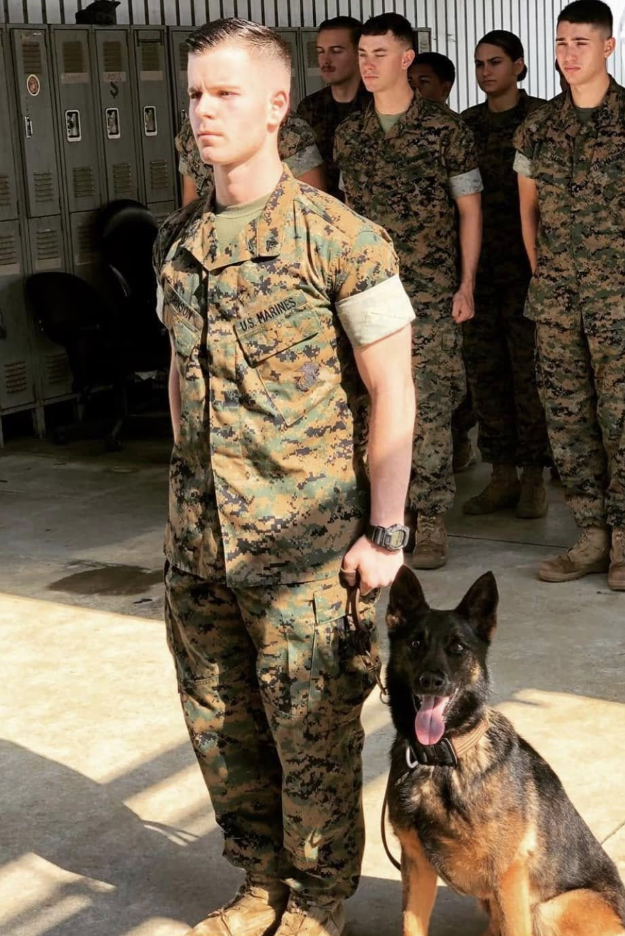 mwd ziva