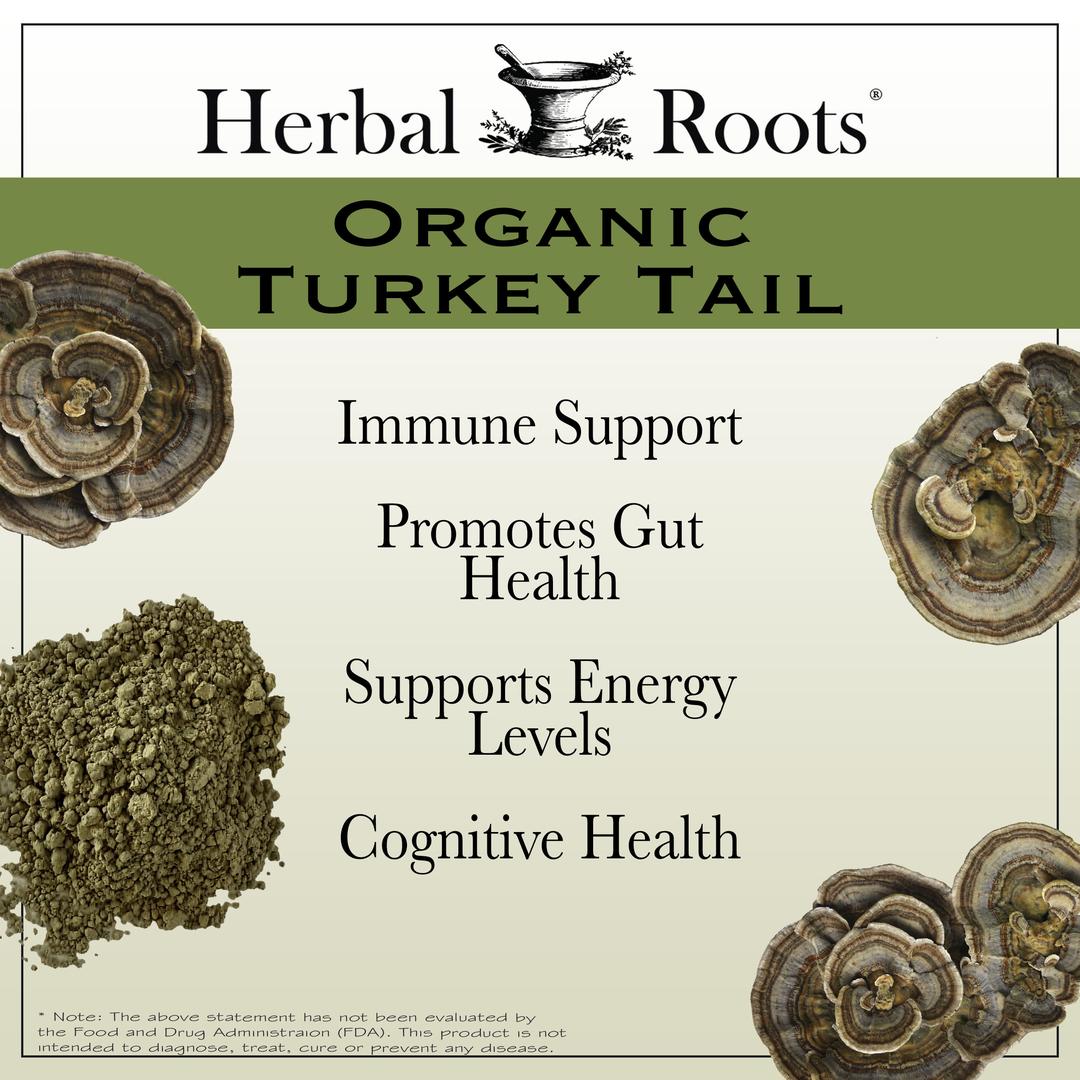 4 turkey tail mushrooms and a pile of powder with benefits listed. Immune supports, promotes gut health, supports energy levels, cognitive health.