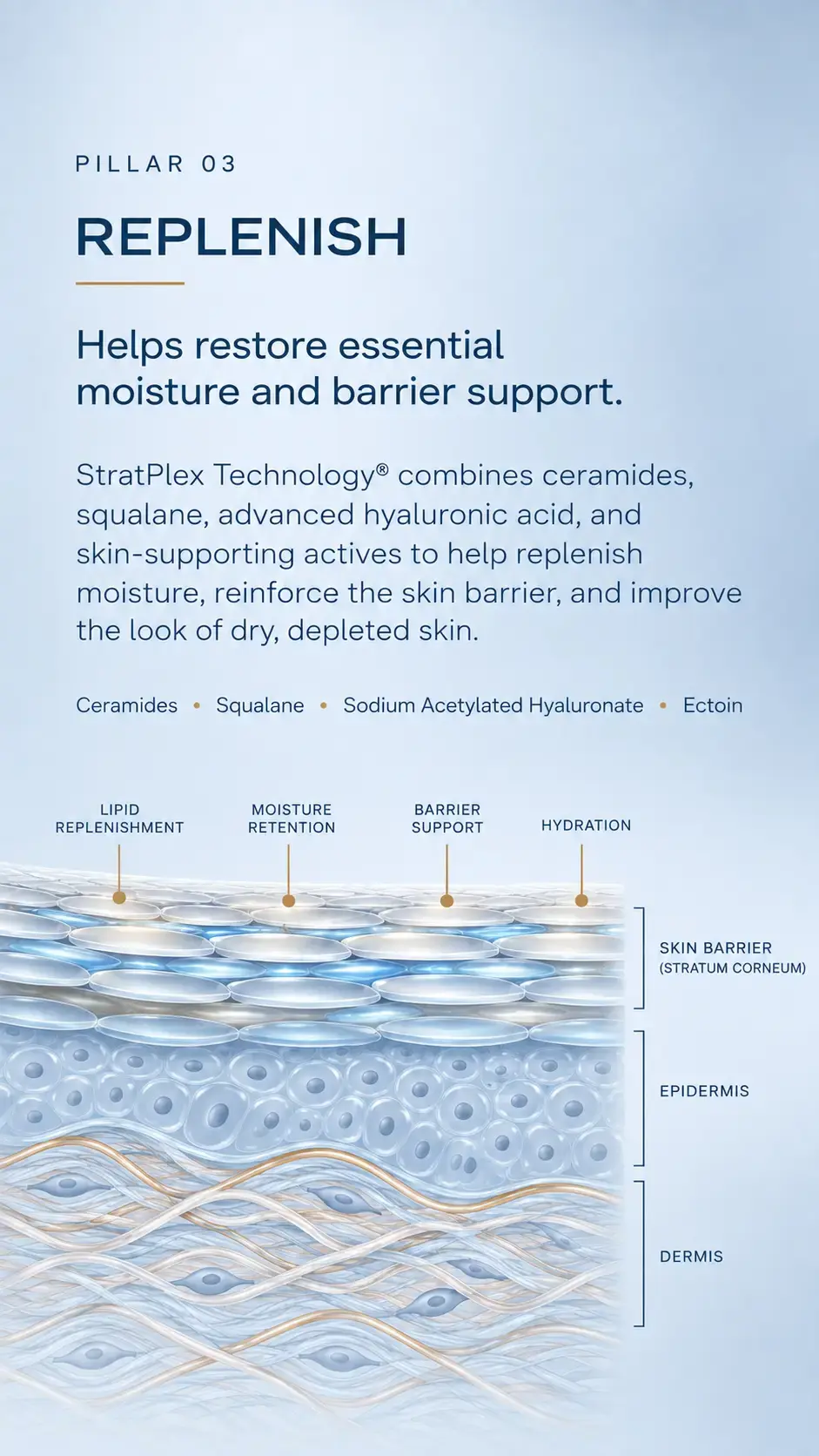 PILLAR 03 REPLENISH Subhead: Helps restore essential moisture and barrier support. Supporting copy: StratPlex Technology® combines ceramides, squalane, advanced hyaluronic acid, and skin-supporting actives to help replenish moisture, reinforce the skin barrier, and improve the look of dry, depleted skin.