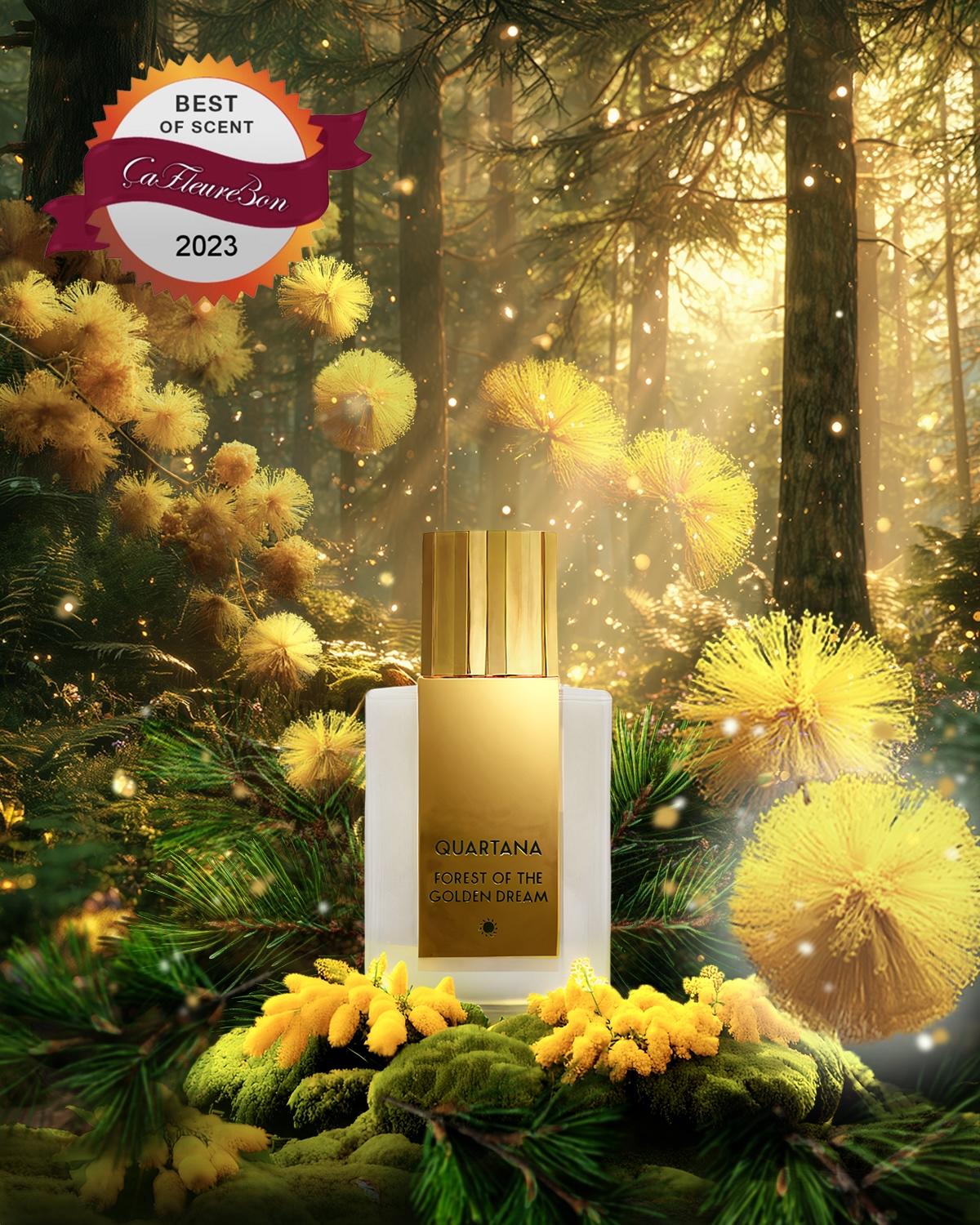 Forest of the Golden Dream by QUARTANA