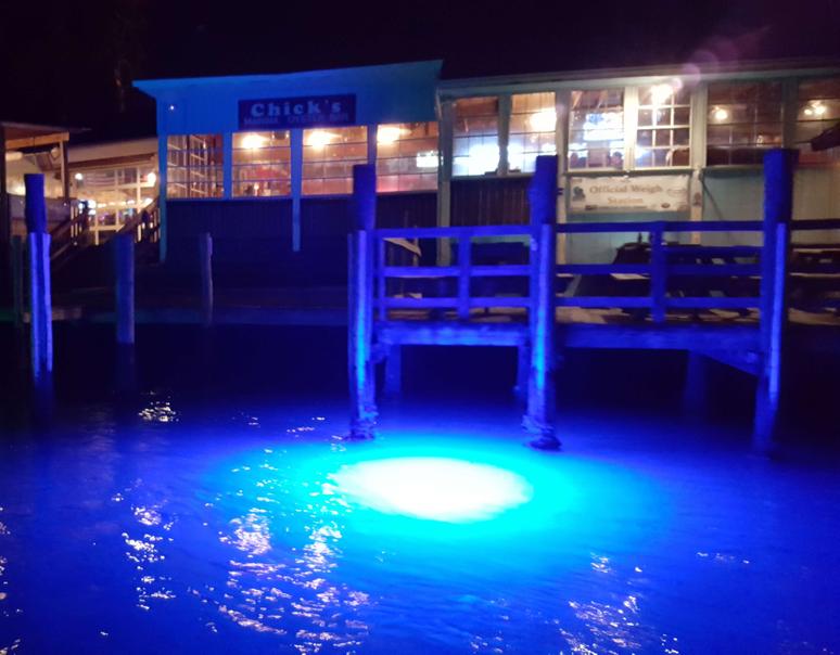 Brightest & Safest Underwater LED Dock Light Easy PlugnPlay System