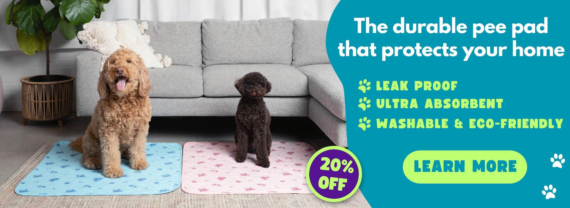 How to Train an Older Dog to Use Pee Pads Potty Buddy Potty Buddy™