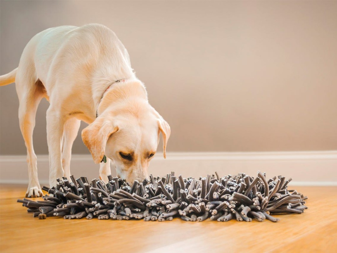 The PAW5 Snuffle Mat