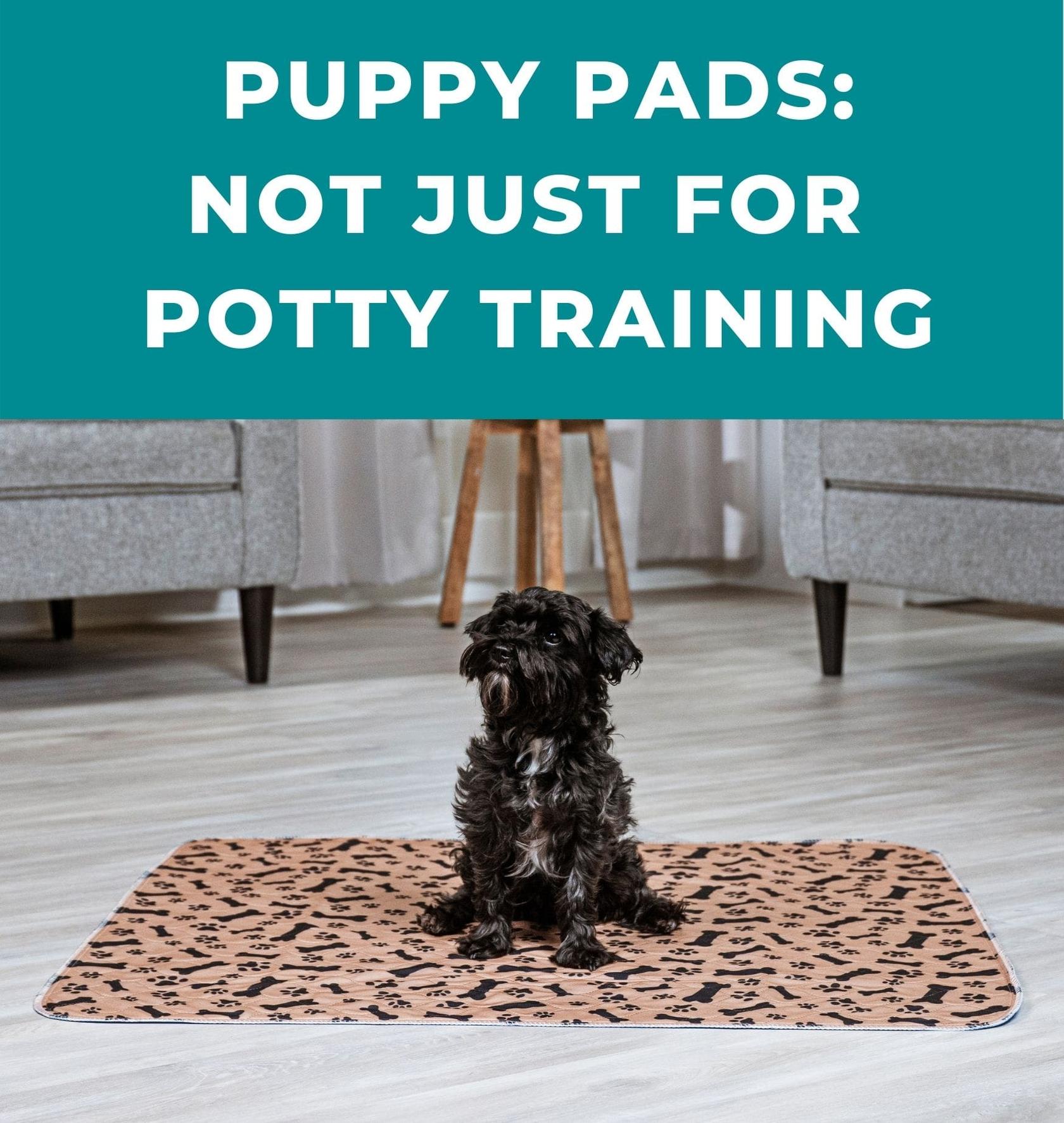 Unexpected uses for your puppy pad - Potty Buddy™