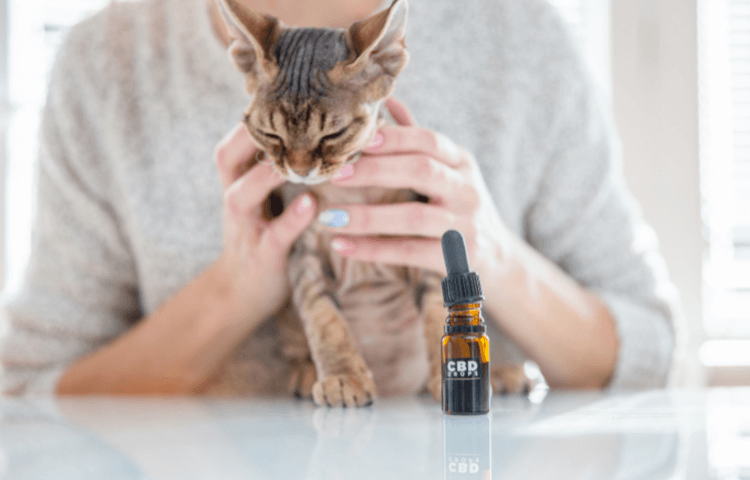 Door Buddy - CBD oil for pets
