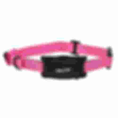 BarkWise™ Pink Collar Strap HomeShielders