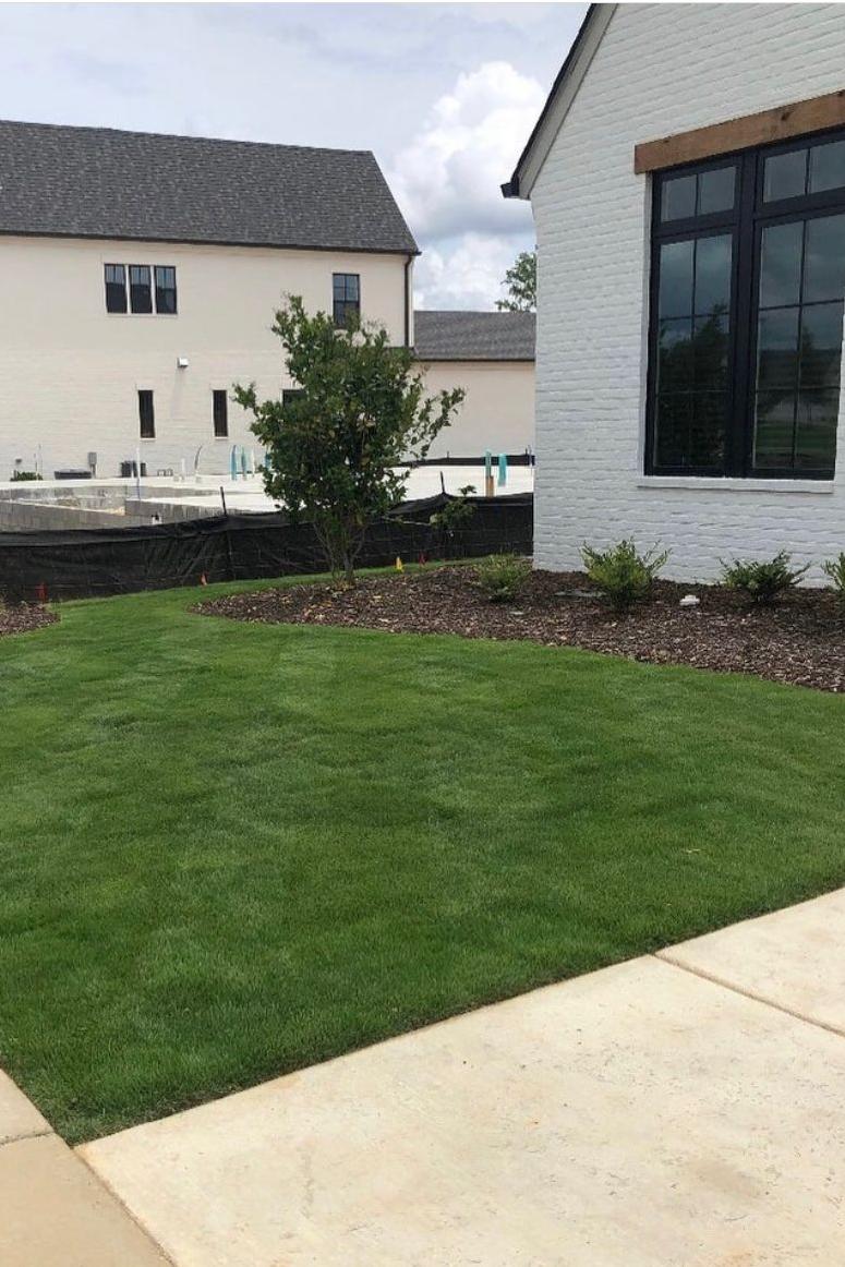 zoysiagrass front lawn