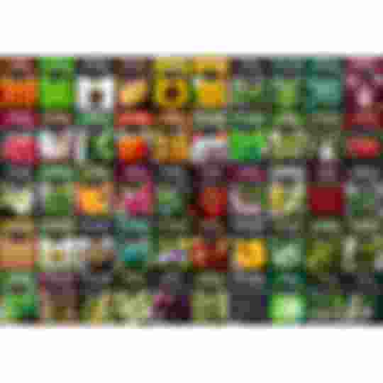 50 heirloom garden seed varieties