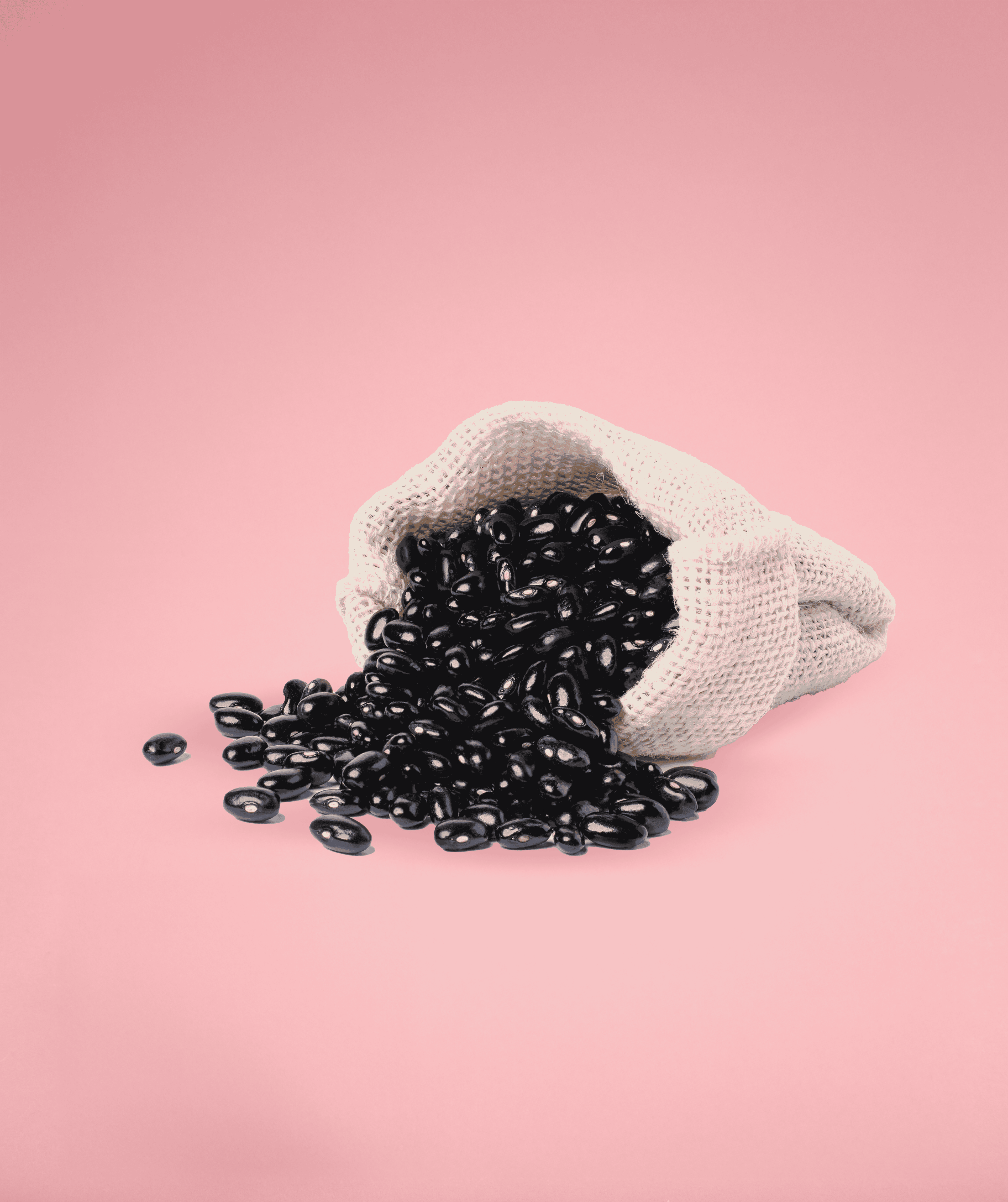 Black gram seeds
