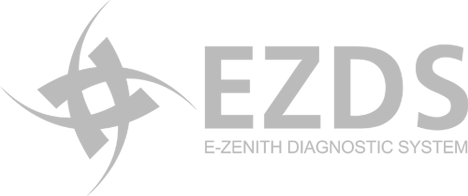 EZDS Logo- AE Tools & Computers