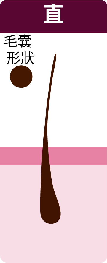round follicle- straight