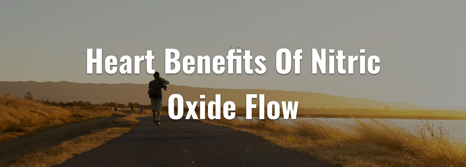 HOW NITRIC OXIDE BENEFITS HEART & ORGANS