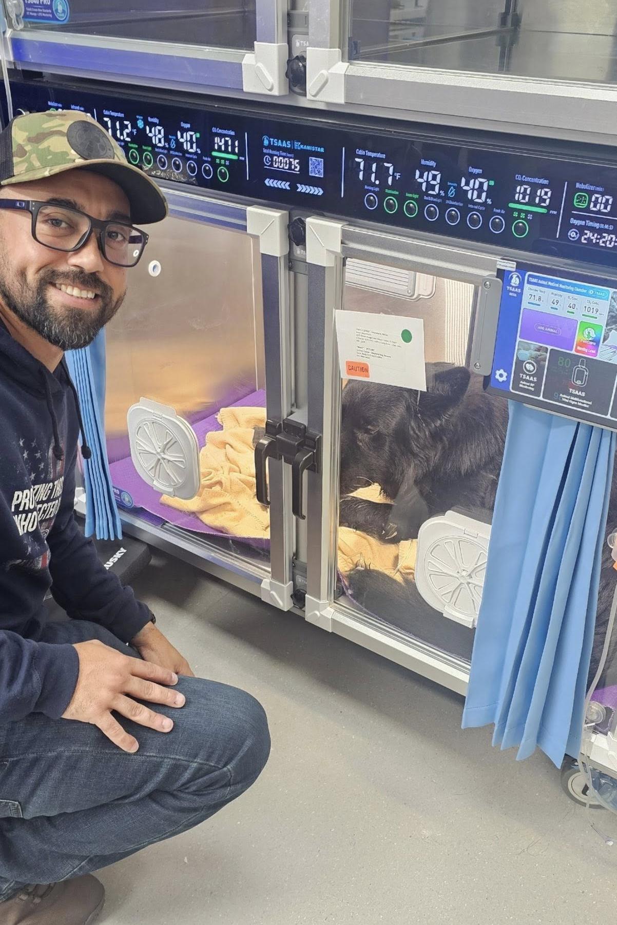 bear in an oxygen chamber