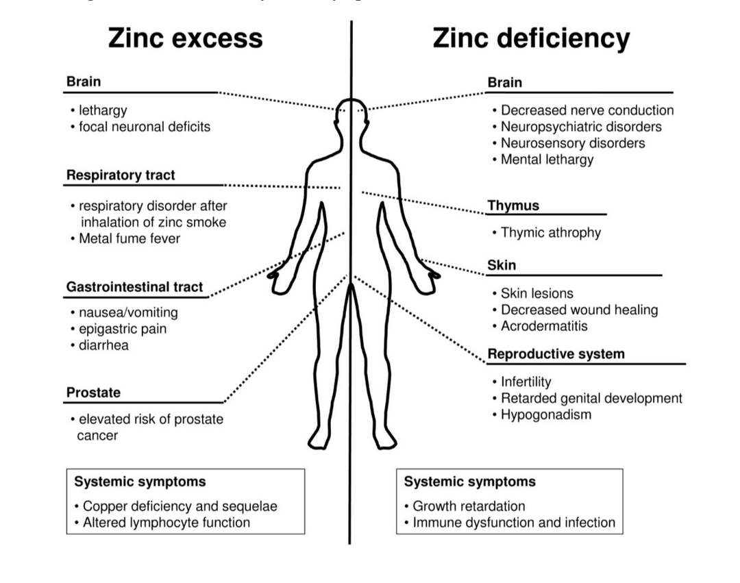 aqueous-zinc-for-zinc-taste-test