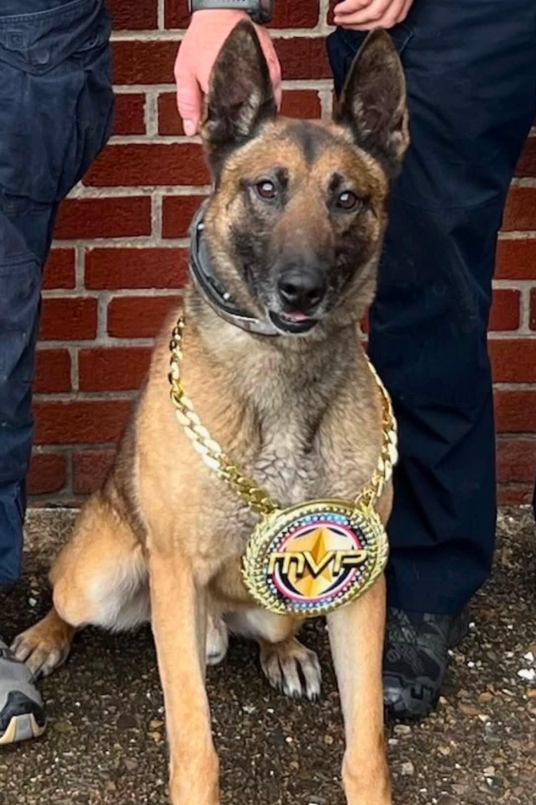 k9 burt with an mvp medal