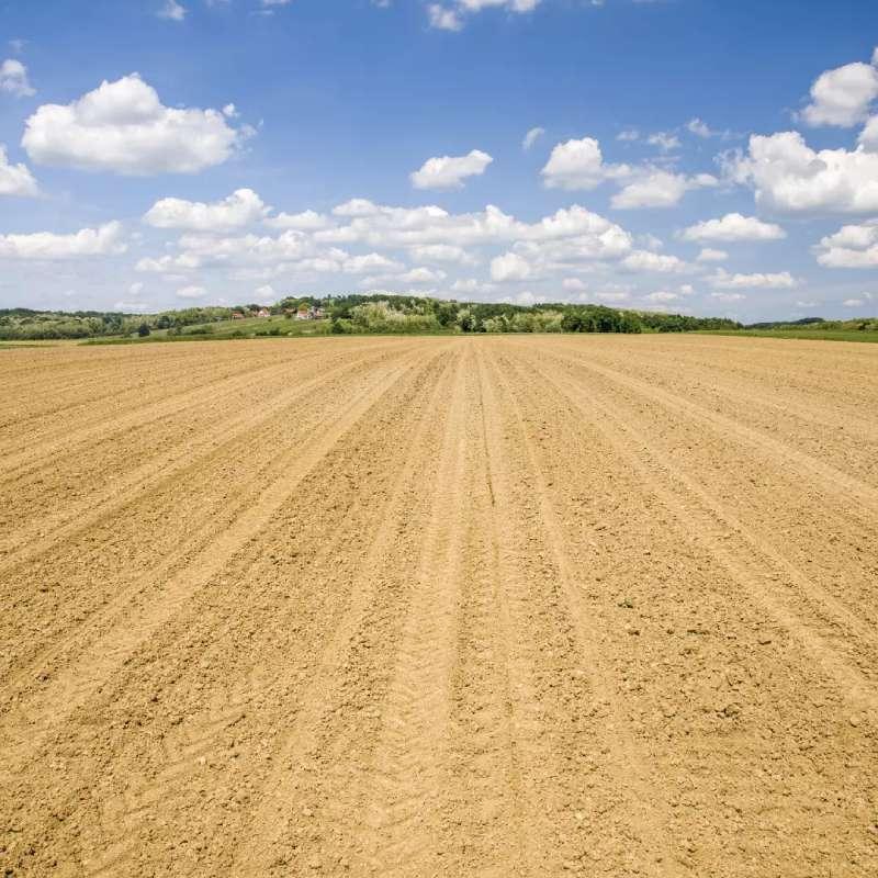 farm land devoid of trees