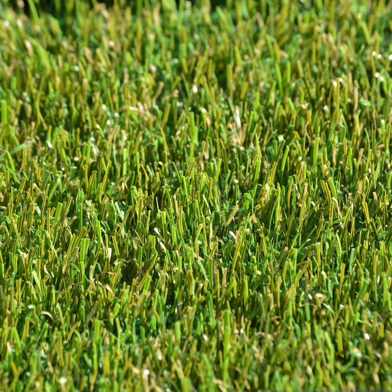 FieldTurf ZL-16 artificial grass close-up