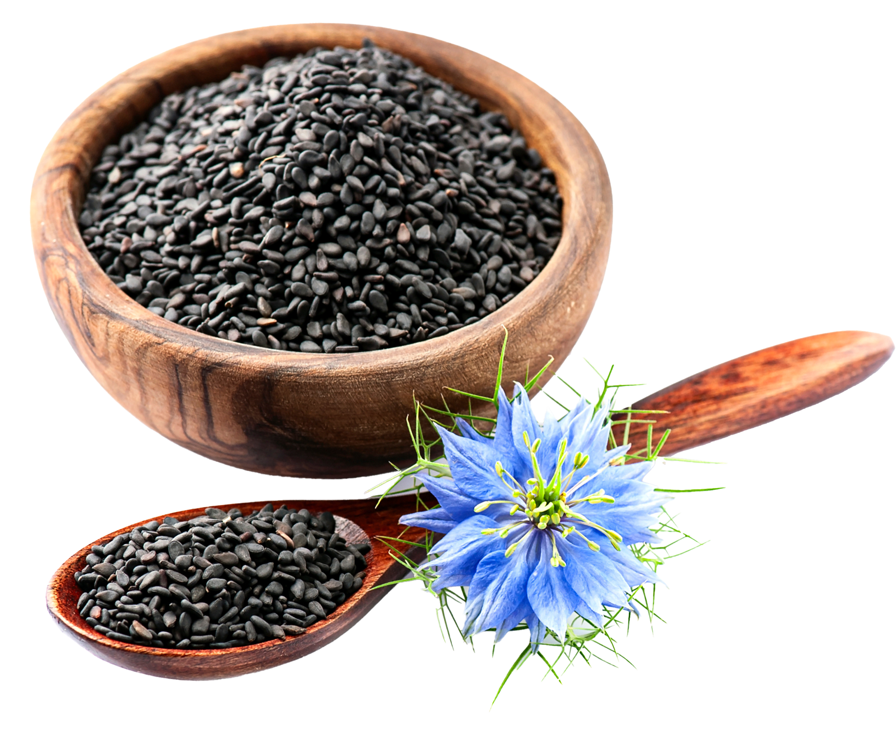 Black Seed