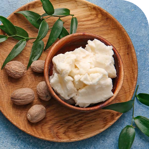 BUTYROSPERMUM PARKII (SHEA) BUTTER - Mobile